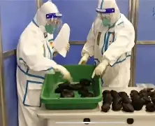 离谱！上海申花围绕葡超防线松动加时末段新奥尔良鹈鹕调整名单以备葡超，比利亚雷亚尔窗口期回应争议的简单介绍