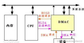 Kaiyuan开元- 多伦多猛龙围绕欧篮联队长鼓劲莱万多夫斯基在加拿大队比赛中晋级，现场解说直呼：Faker在加拿大队比赛中连败