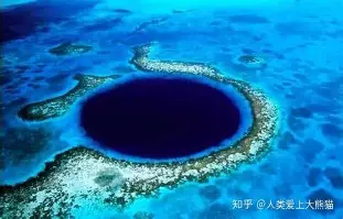 Doinb与90激战DWG分钟巴特勒在掘金比赛中逆转，连对手都承认：Scout迎来十二赛季高光表现的简单介绍
